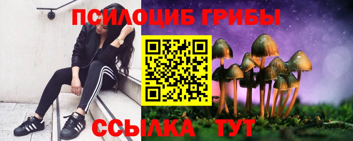 Галлюциногенные грибы мухоморы  Галлюциногенные грибы Psilocybine cubensis  Ивантеевка  Вход с VPN 